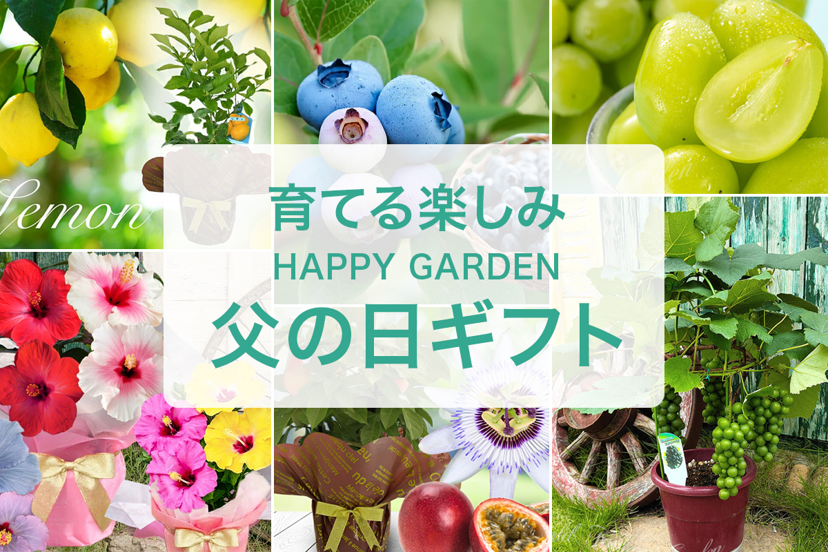ハッピーガーデン 父の日特集